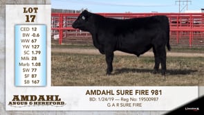 Lot #17 - AMDAHL SURE FIRE 981