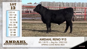 Lot #13 - AMDAHL RENO 913