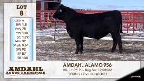 Lot #8 - AMDAHL ALAMO 956
