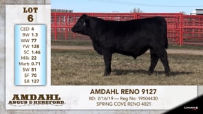 Lot #6 - AMDAHL RENO 9127