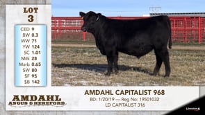 Lot #3 - AMDAHL CAPITALIST 968