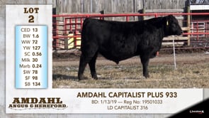 Lot #2 - AMDAHL CAPITALIST PLUS 933