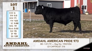Lot #1 - AMDAHL AMERICAN PRIDE 973
