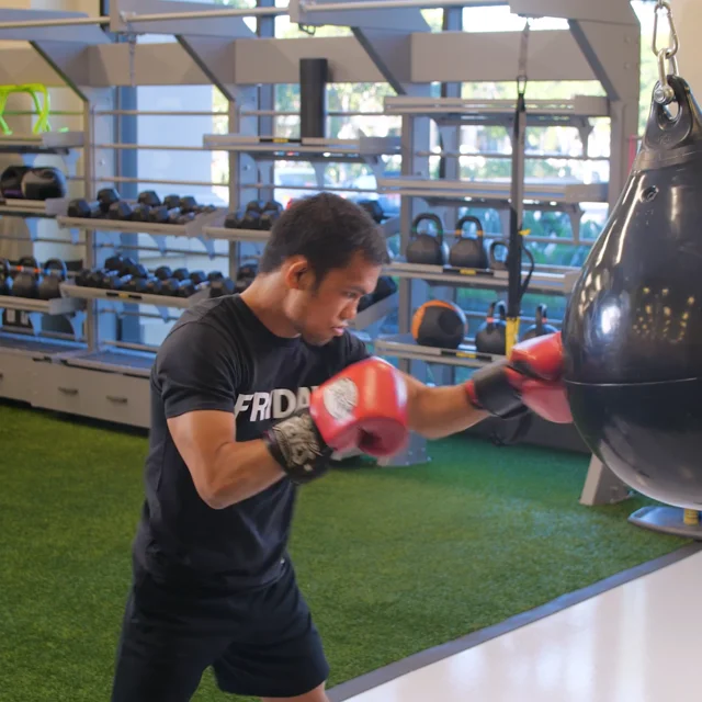 La fitness cheap with punching bags