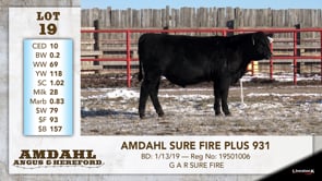 Lot #19 - AMDAHL SURE FIRE PLUS 931