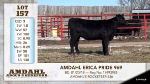 Lot #157 - AMDAHL ERICA PRIDE 969