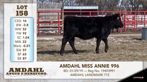 Lot #158 - AMDAHL MISS ANNIE 996