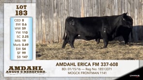Lot #183 - AMDAHL ERICA FM 337-608