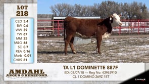 Lot #218 - TA L1 DOMINETTE 887F