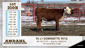 Lot #210B - TA L1 DOMINETTE 951G