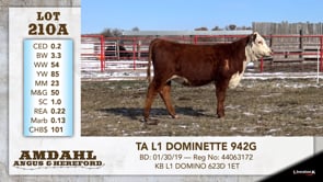 Lot #210A - TA L1 DOMINETTE 942G
