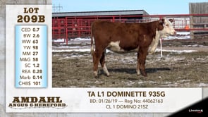 Lot #209B - TA L1 DOMINETTE 935G