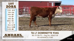 Lot #209A - TA L1 DOMINETTE 934G