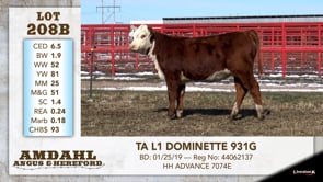 Lot #208B - TA L1 DOMINETTE 931G