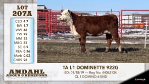 Lot #207A - TA L1 DOMINETTE 922G