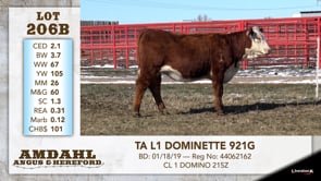 Lot #206B - TA L1 DOMINETTE 921G