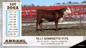 Lot #206A - TA L1 DOMINETTE 917G