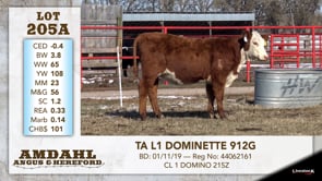Lot #205A - TA L1 DOMINETTE 912G