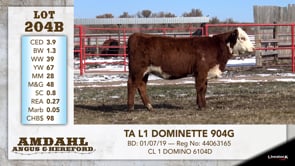 Lot #204B - TA L1 DOMINETTE 904G
