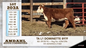 Lot #203A - TA L1 DOMINETTE 897F