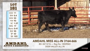 Lot #181 - AMDAHL MISS ALL-IN 3164-666
