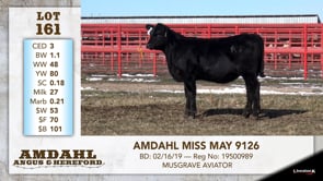 Lot #161 - AMDAHL MISS MAY 9126