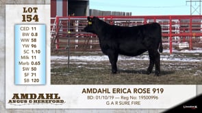 Lot #154 - AMDAHL ERICA ROSE 919