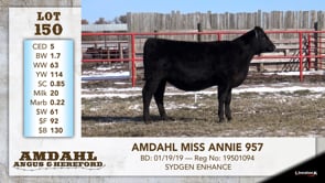 Lot #150 - AMDAHL MISS ANNIE 957