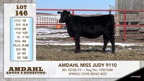 Lot #146 - AMDAHL MISS JUDY 9110
