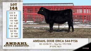 Lot #144 - AMDAHL DIXIE ERICA 544-9156