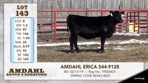 Lot #143 - AMDAHL ERICA 544-9128