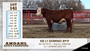 Lot #141 - KB L1 DOMINO 891F