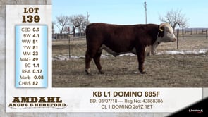 Lot #139 - KB L1 DOMINO 885F