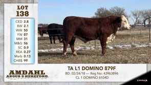 Lot #138 - TA L1 DOMINO 879F