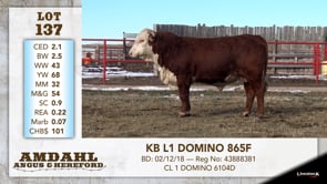 Lot #137 - KB L1 DOMINO 865F