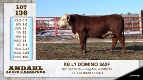 Lot #136 - KB L1 DOMINO 862F