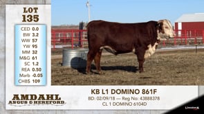 Lot #135 - KB L1 DOMINO 861F