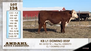 Lot #134 - KB L1 DOMINO 855F