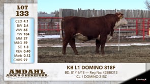 Lot #133 - KB L1 DOMINO 818F
