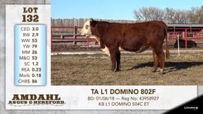 Lot #132 - TA L1 DOMINO 802F