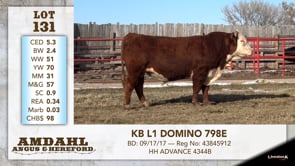 Lot #131 - KB L1 DOMINO 798E