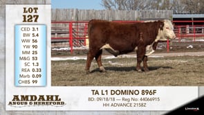 Lot #127 - TA L1 DOMINO 896F