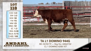 Lot #118 - TA L1 DOMINO 944G