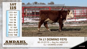 Lot #115 - TA L1 DOMINO 937G