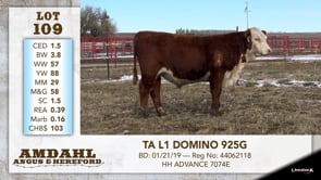 Lot #109 - TA L1 DOMINO 925G