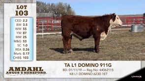 Lot #103 - TA L1 DOMINO 911G