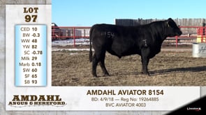 Lot #97 - AMDAHL AVIATOR 8154