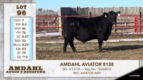Lot #96 - AMDAHL AVIATOR 8138