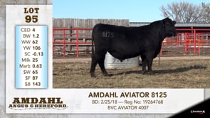 Lot #95 - AMDAHL AVIATOR 8125