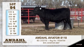 Lot #94 - AMDAHL AVIATOR 8118